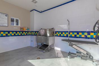 Dog bath at Level 25 at Cactus by Picerne, Las Vegas